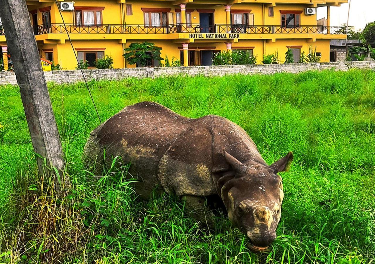 Hotel National Park Sauraha- Homely Stay And Peaceful Location With Jungle Safari Arrangements Eksteriør bilde