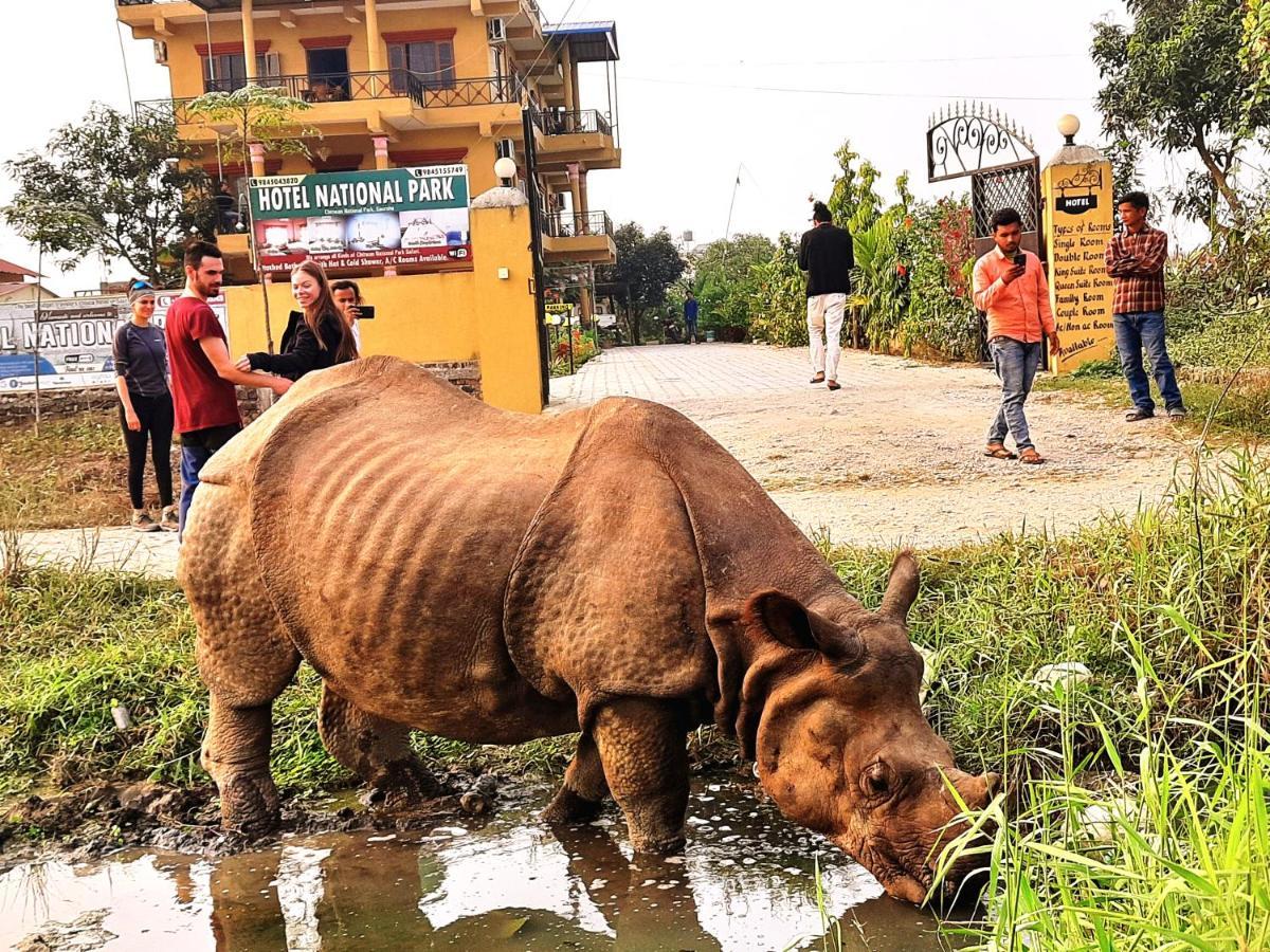 Hotel National Park Sauraha- Homely Stay And Peaceful Location With Jungle Safari Arrangements Eksteriør bilde