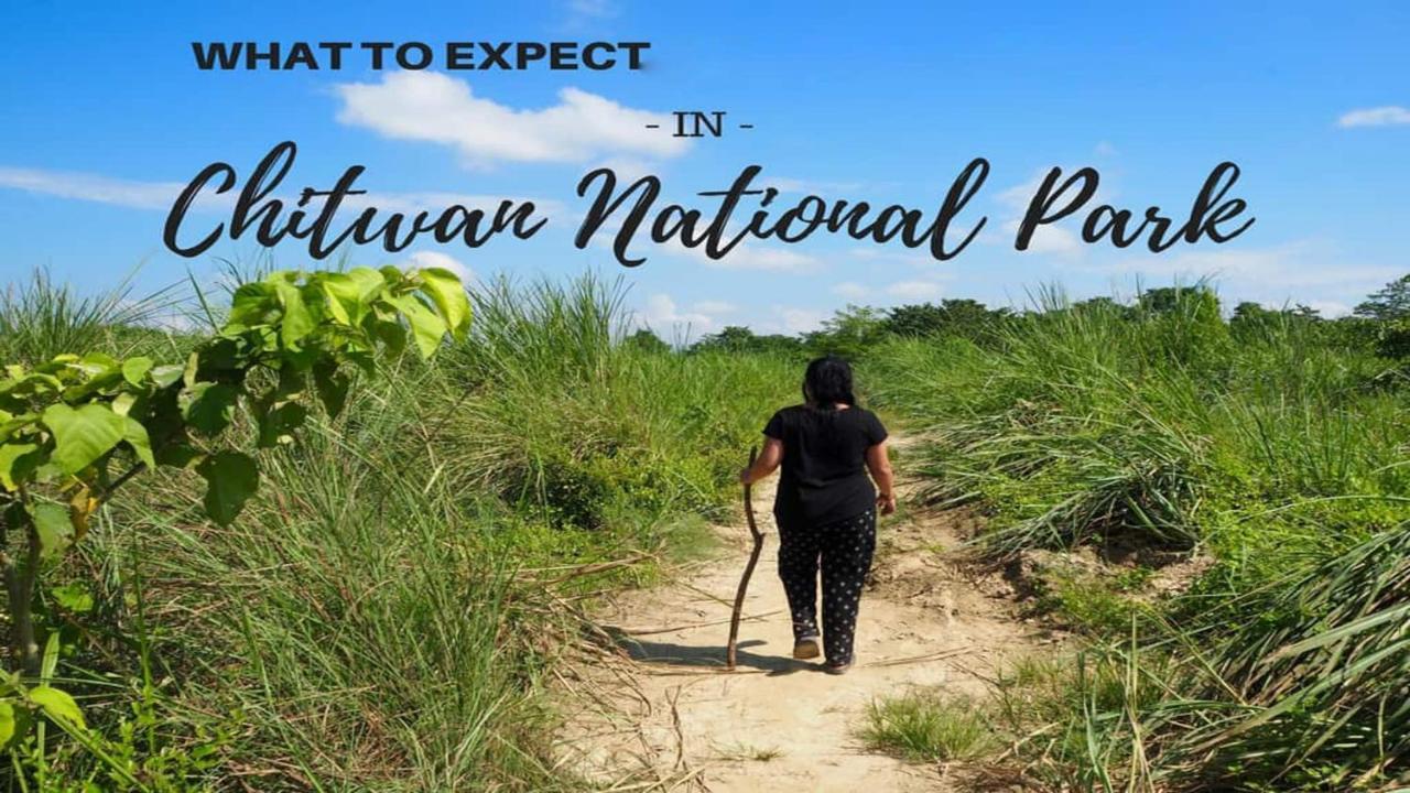Hotel National Park Sauraha- Homely Stay And Peaceful Location With Jungle Safari Arrangements Eksteriør bilde