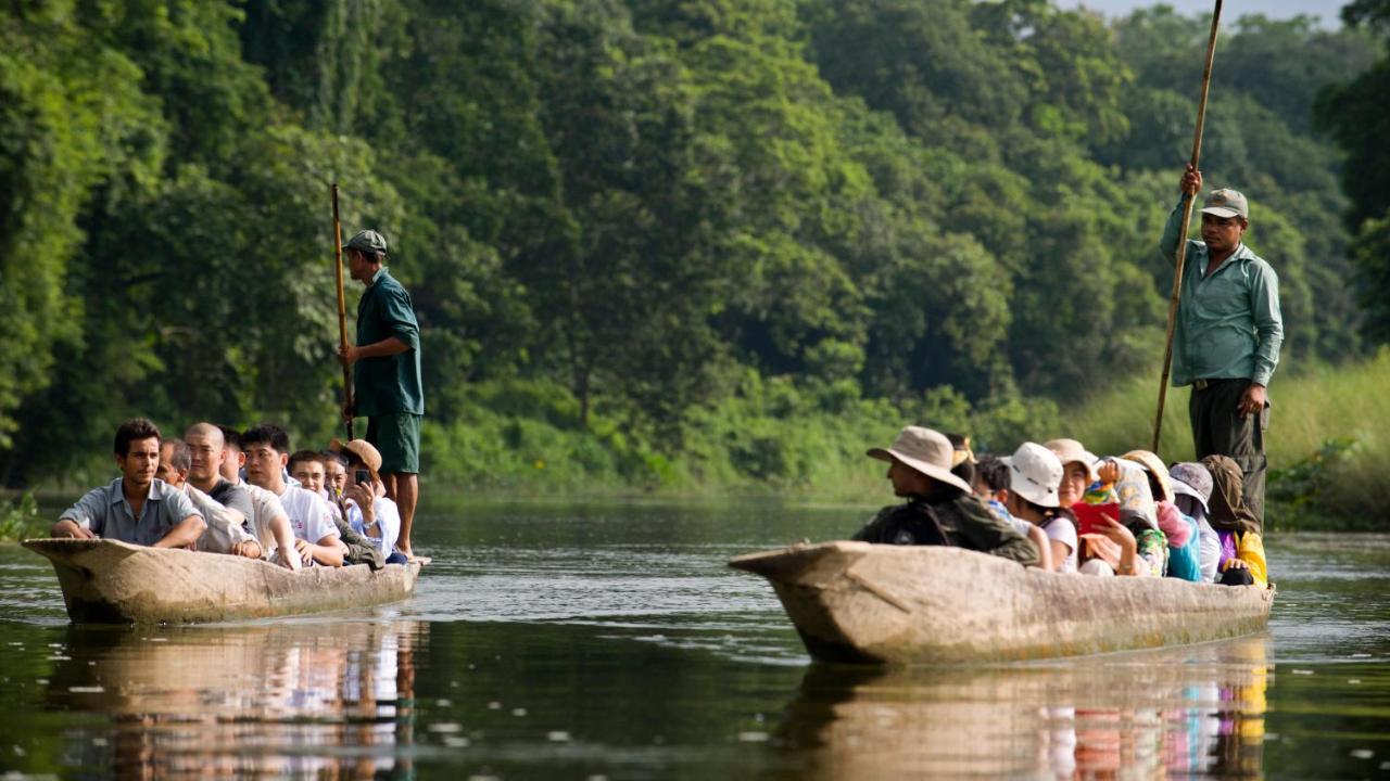 Hotel National Park Sauraha- Homely Stay And Peaceful Location With Jungle Safari Arrangements Eksteriør bilde