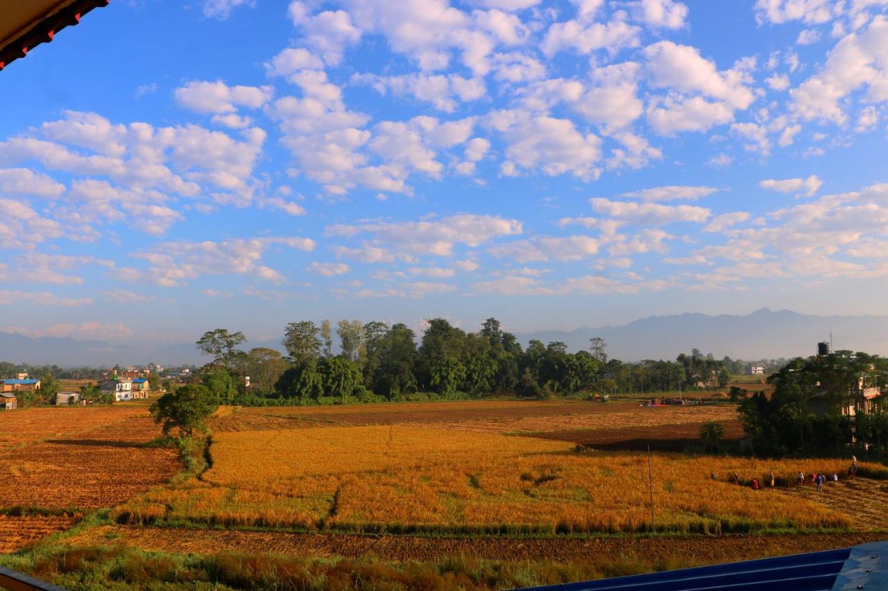 Hotel National Park Sauraha- Homely Stay And Peaceful Location With Jungle Safari Arrangements Eksteriør bilde
