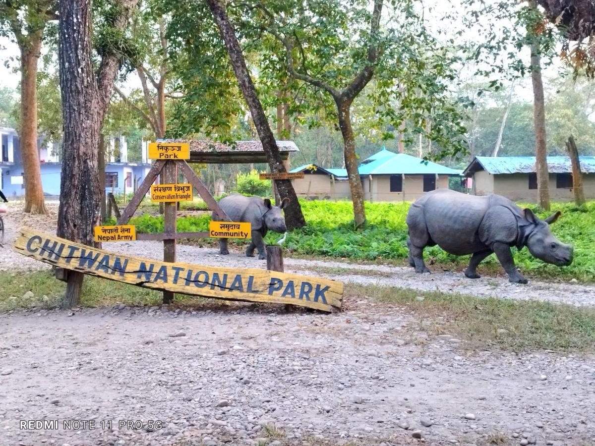Hotel National Park Sauraha- Homely Stay And Peaceful Location With Jungle Safari Arrangements Eksteriør bilde