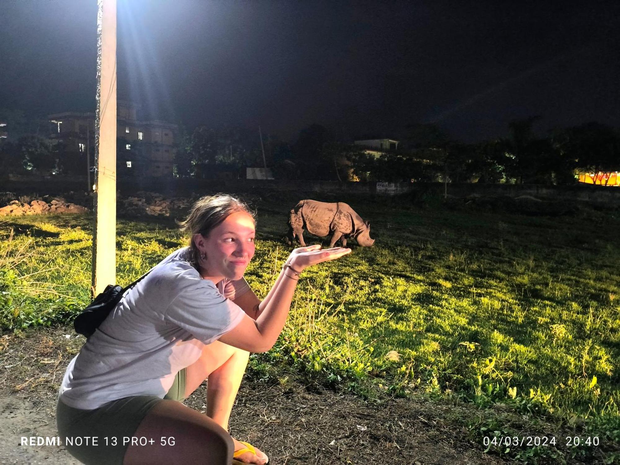 Hotel National Park Sauraha- Homely Stay And Peaceful Location With Jungle Safari Arrangements Eksteriør bilde
