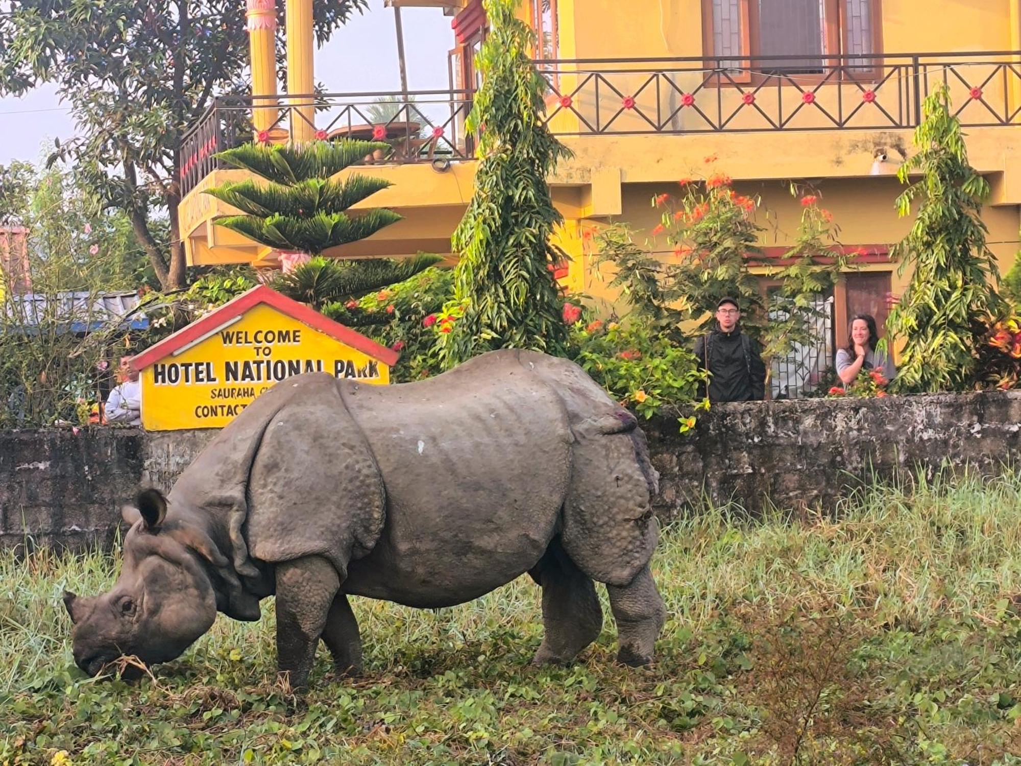 Hotel National Park Sauraha- Homely Stay And Peaceful Location With Jungle Safari Arrangements Eksteriør bilde